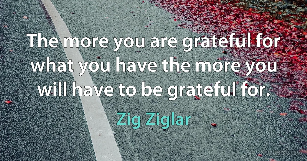 The more you are grateful for what you have the more you will have to be grateful for. (Zig Ziglar)