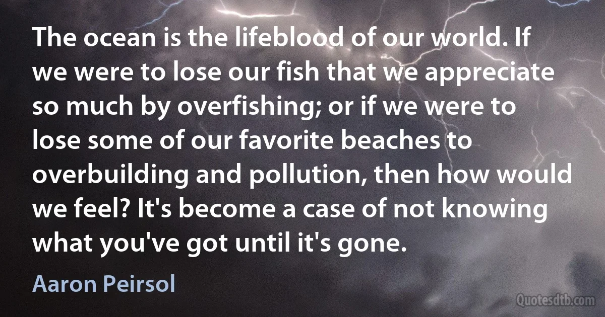 The ocean is the lifeblood of our world. If we were to lose our fish that we appreciate so much by overfishing; or if we were to lose some of our favorite beaches to overbuilding and pollution, then how would we feel? It's become a case of not knowing what you've got until it's gone. (Aaron Peirsol)