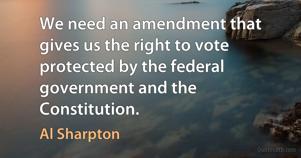 We need an amendment that gives us the right to vote protected by the federal government and the Constitution. (Al Sharpton)