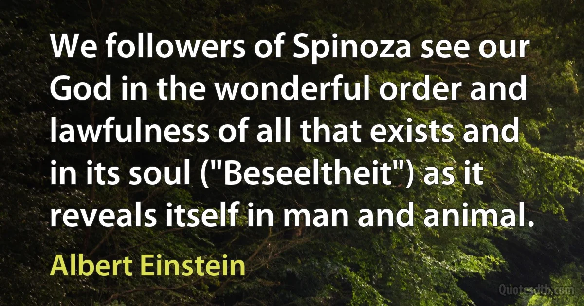 We followers of Spinoza see our God in the wonderful order and lawfulness of all that exists and in its soul ("Beseeltheit") as it reveals itself in man and animal. (Albert Einstein)