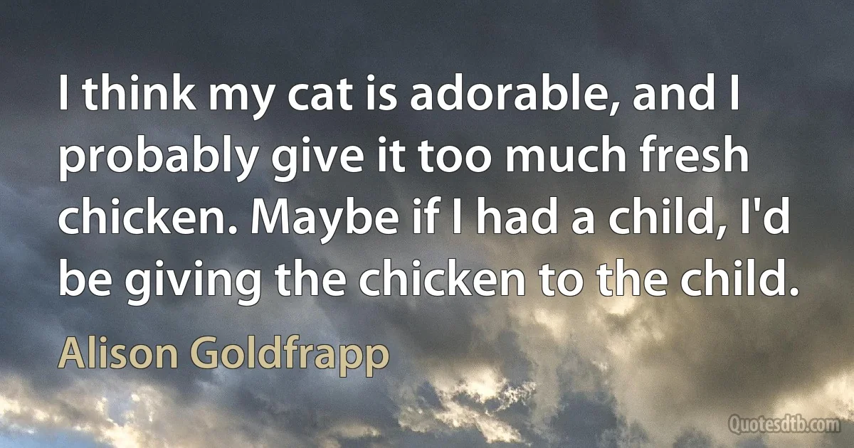 I think my cat is adorable, and I probably give it too much fresh chicken. Maybe if I had a child, I'd be giving the chicken to the child. (Alison Goldfrapp)