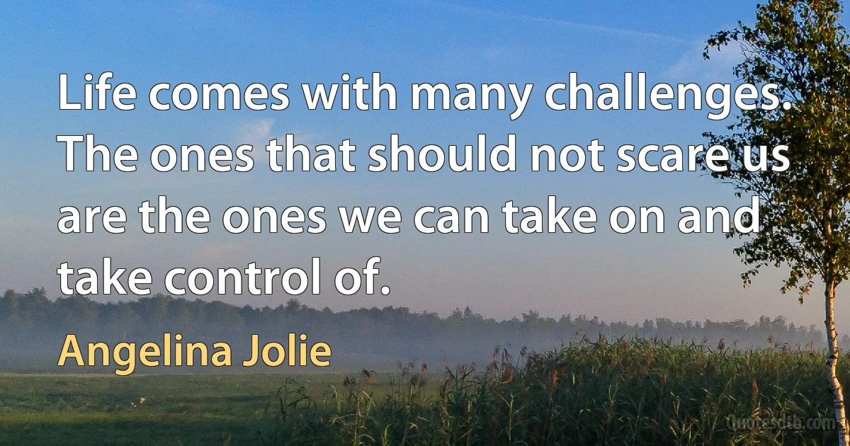 Life comes with many challenges. The ones that should not scare us are the ones we can take on and take control of. (Angelina Jolie)