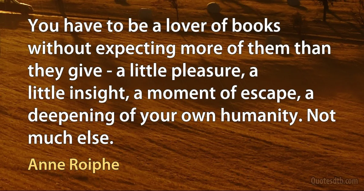 You have to be a lover of books without expecting more of them than they give - a little pleasure, a little insight, a moment of escape, a deepening of your own humanity. Not much else. (Anne Roiphe)