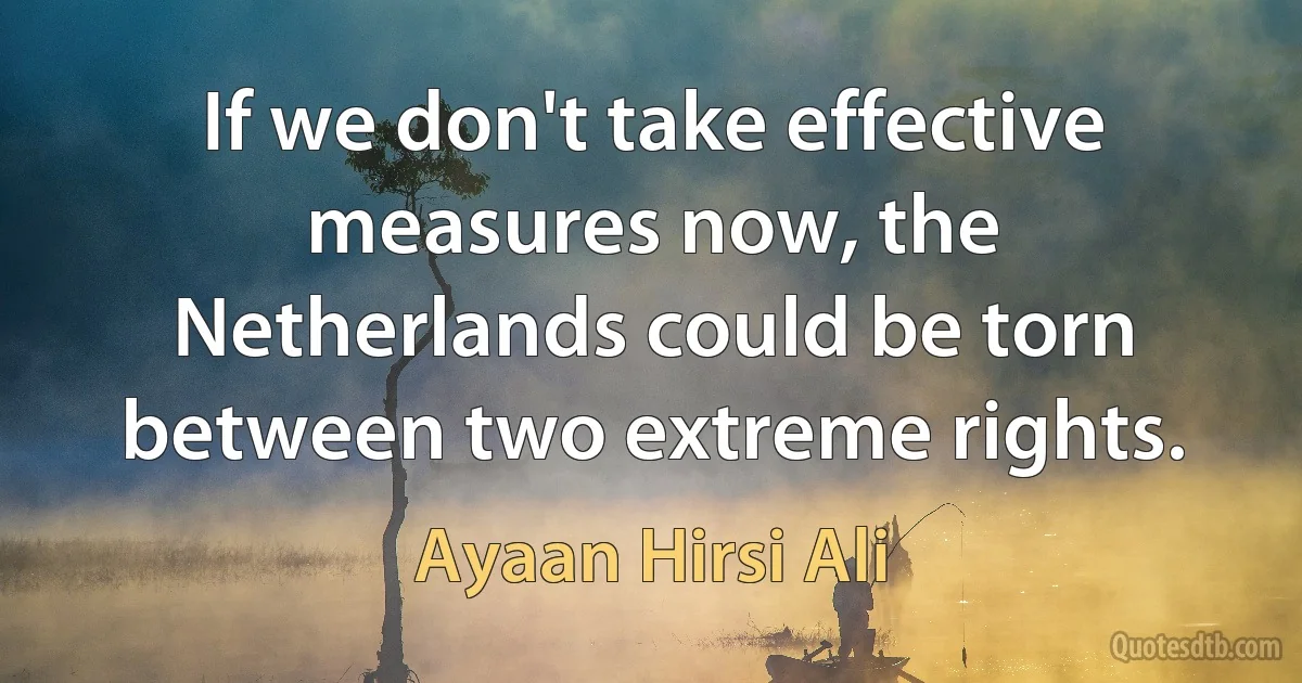 If we don't take effective measures now, the Netherlands could be torn between two extreme rights. (Ayaan Hirsi Ali)