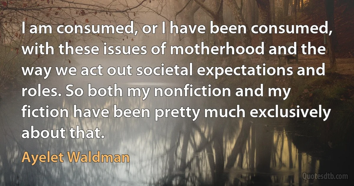 I am consumed, or I have been consumed, with these issues of motherhood and the way we act out societal expectations and roles. So both my nonfiction and my fiction have been pretty much exclusively about that. (Ayelet Waldman)