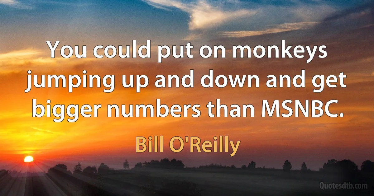 You could put on monkeys jumping up and down and get bigger numbers than MSNBC. (Bill O'Reilly)