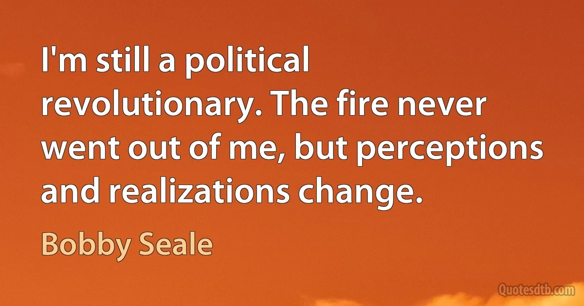 I'm still a political revolutionary. The fire never went out of me, but perceptions and realizations change. (Bobby Seale)