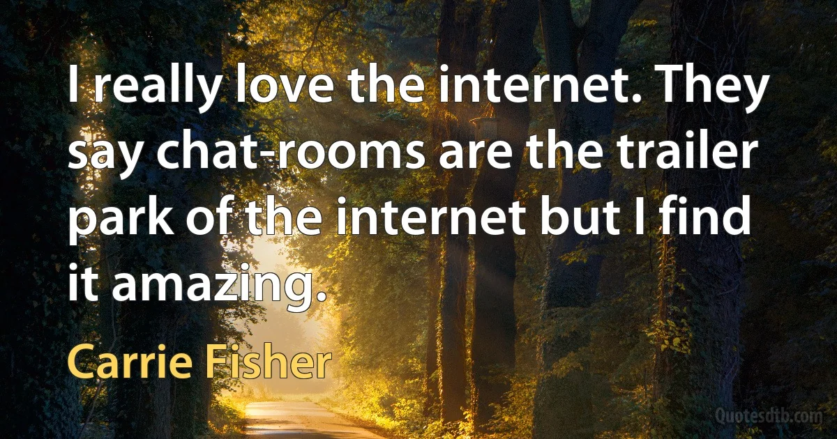 I really love the internet. They say chat-rooms are the trailer park of the internet but I find it amazing. (Carrie Fisher)