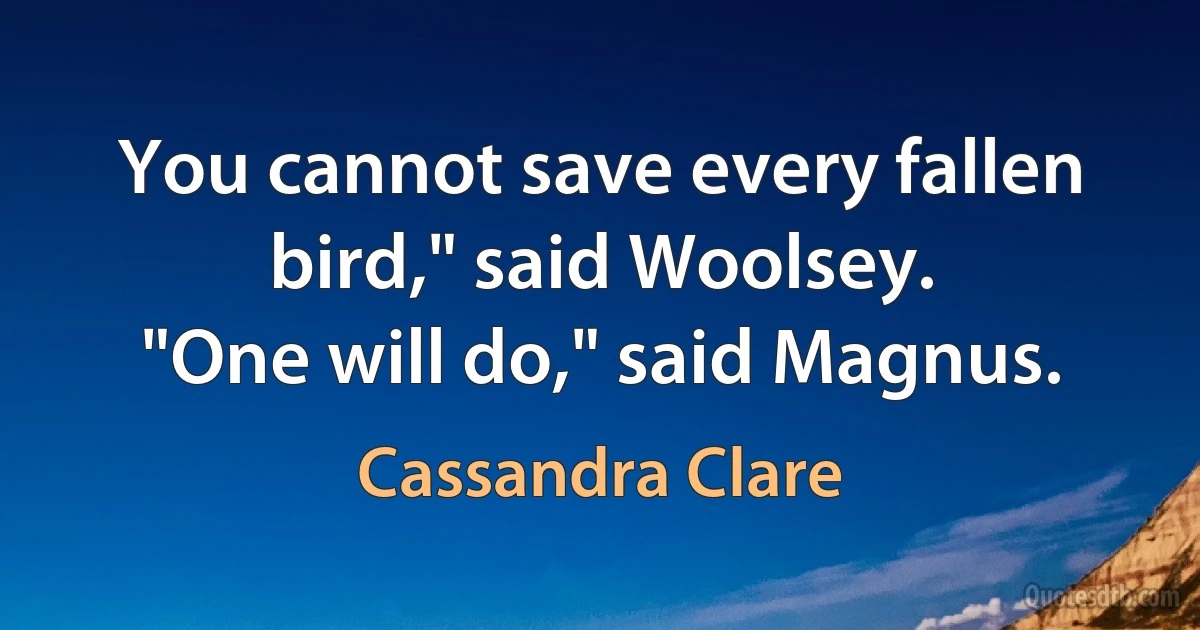 You cannot save every fallen bird," said Woolsey.
"One will do," said Magnus. (Cassandra Clare)