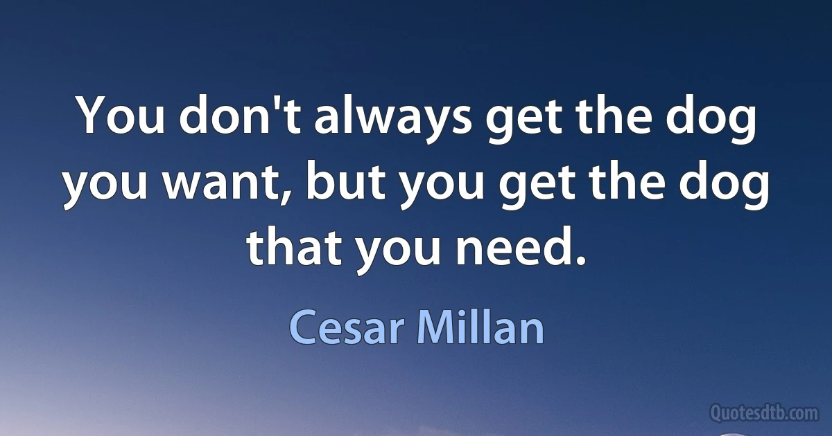 You don't always get the dog you want, but you get the dog that you need. (Cesar Millan)