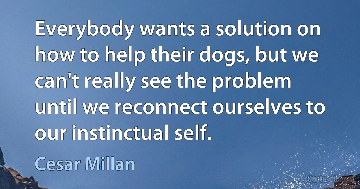 Everybody wants a solution on how to help their dogs, but we can't really see the problem until we reconnect ourselves to our instinctual self. (Cesar Millan)