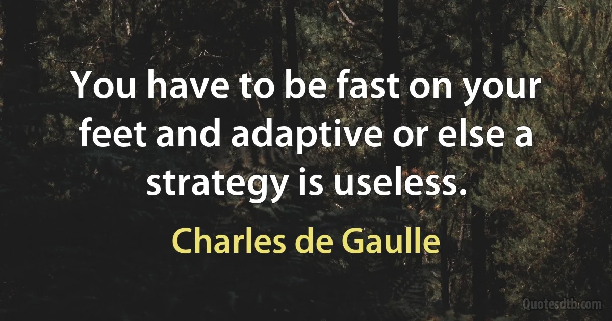 You have to be fast on your feet and adaptive or else a strategy is useless. (Charles de Gaulle)