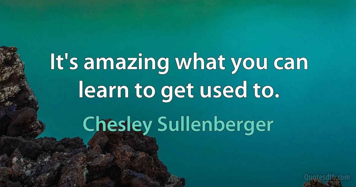 It's amazing what you can learn to get used to. (Chesley Sullenberger)