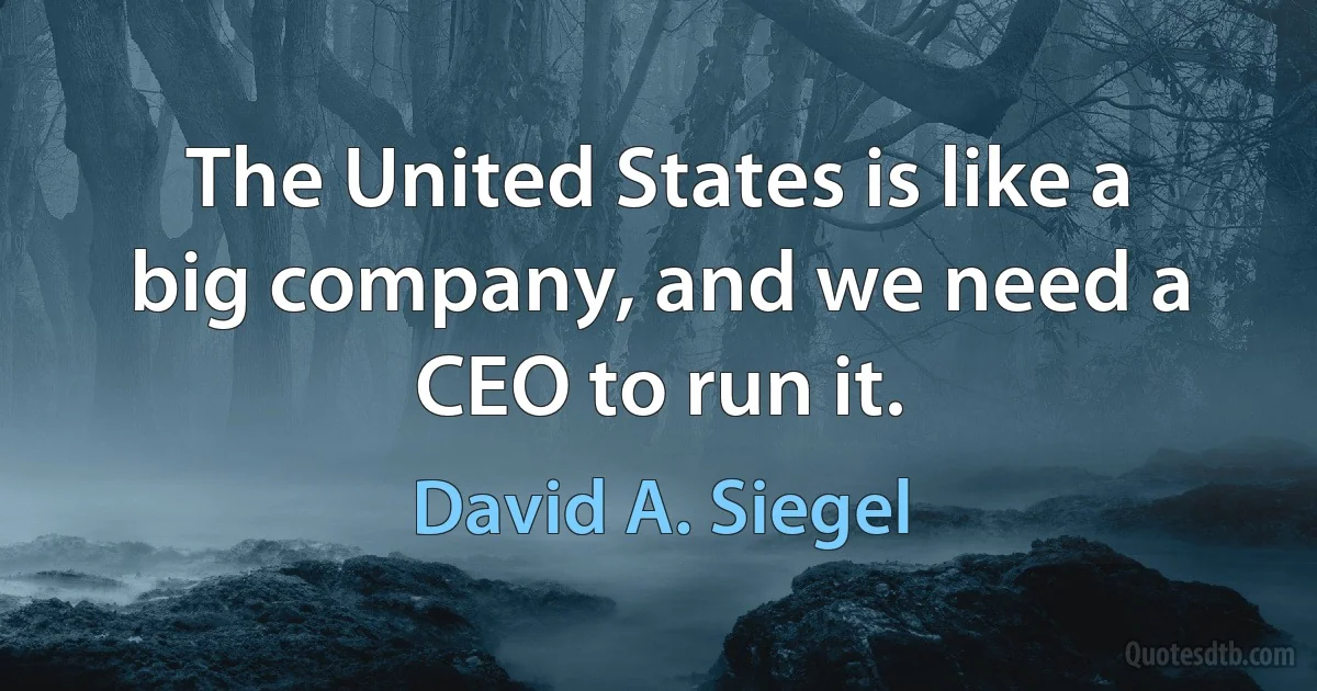 The United States is like a big company, and we need a CEO to run it. (David A. Siegel)