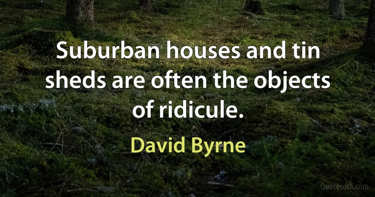 Suburban houses and tin sheds are often the objects of ridicule. (David Byrne)