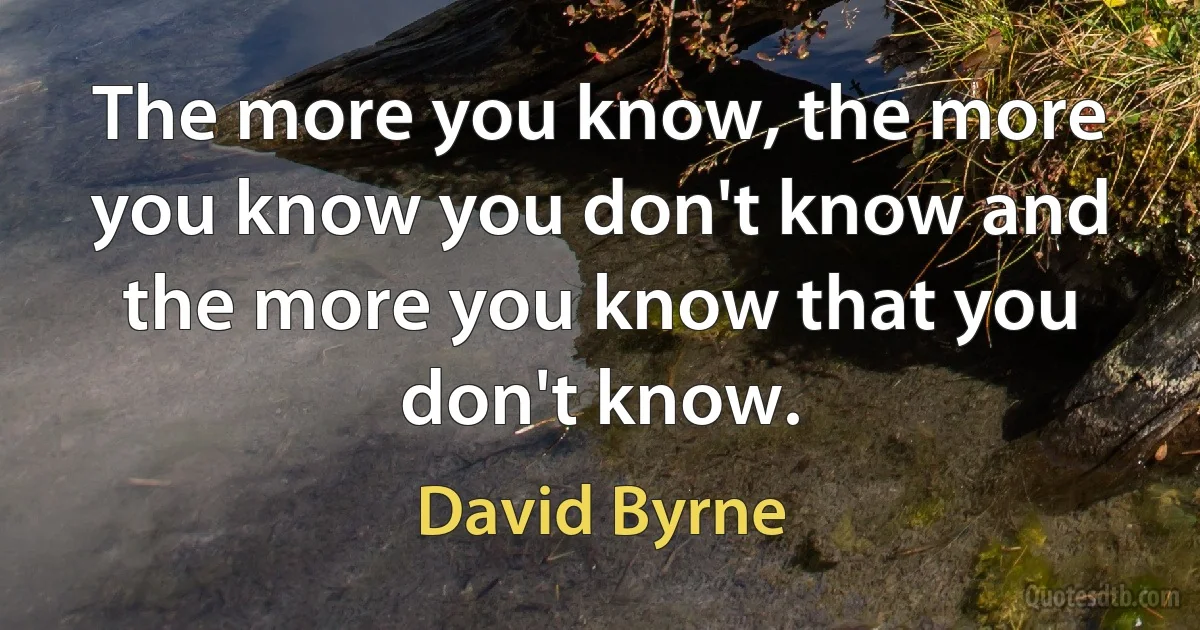 The more you know, the more you know you don't know and the more you know that you don't know. (David Byrne)