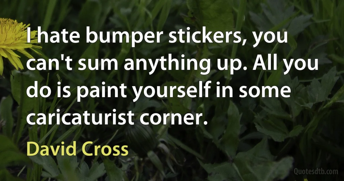 I hate bumper stickers, you can't sum anything up. All you do is paint yourself in some caricaturist corner. (David Cross)