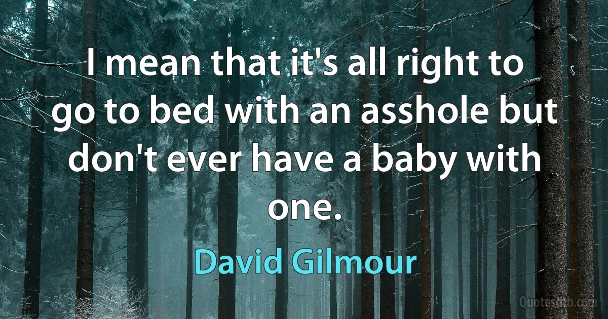 I mean that it's all right to go to bed with an asshole but don't ever have a baby with one. (David Gilmour)