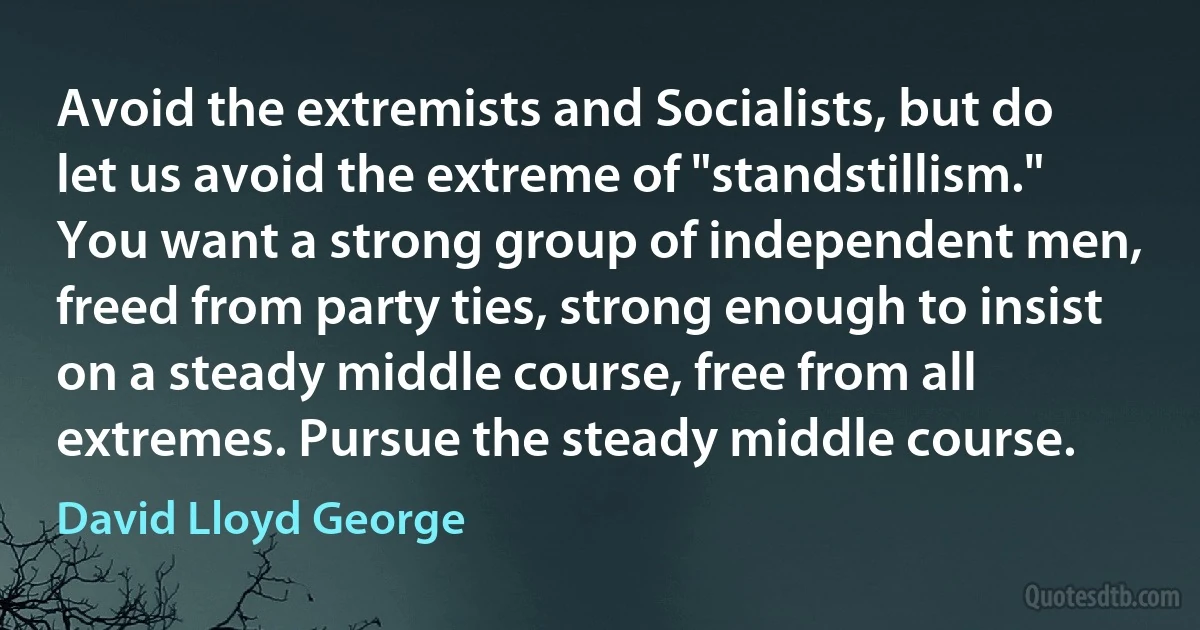 Avoid the extremists and Socialists, but do let us avoid the extreme of "standstillism." You want a strong group of independent men, freed from party ties, strong enough to insist on a steady middle course, free from all extremes. Pursue the steady middle course. (David Lloyd George)