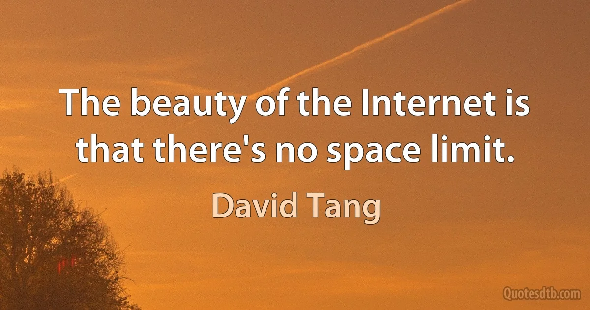 The beauty of the Internet is that there's no space limit. (David Tang)