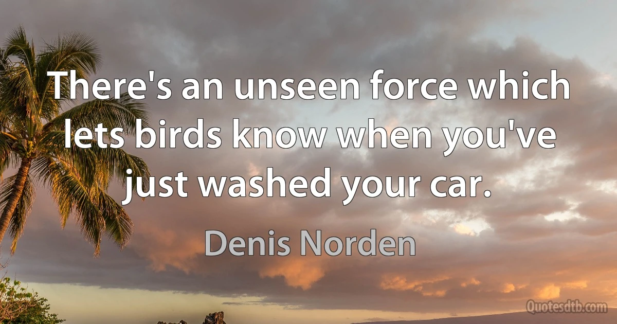 There's an unseen force which lets birds know when you've just washed your car. (Denis Norden)