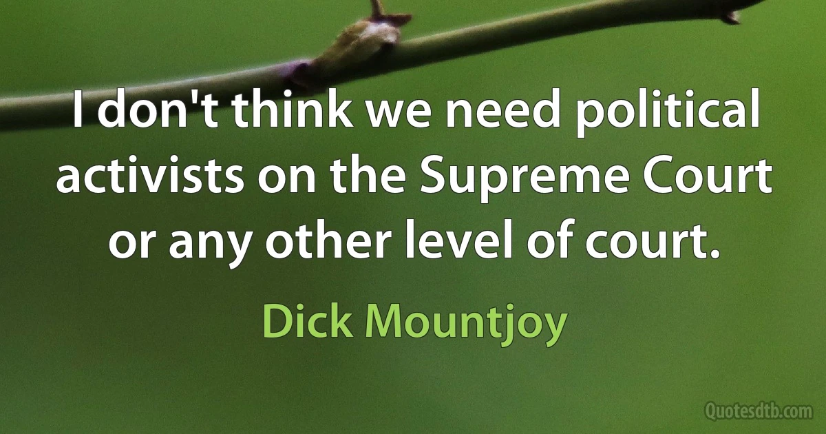 I don't think we need political activists on the Supreme Court or any other level of court. (Dick Mountjoy)