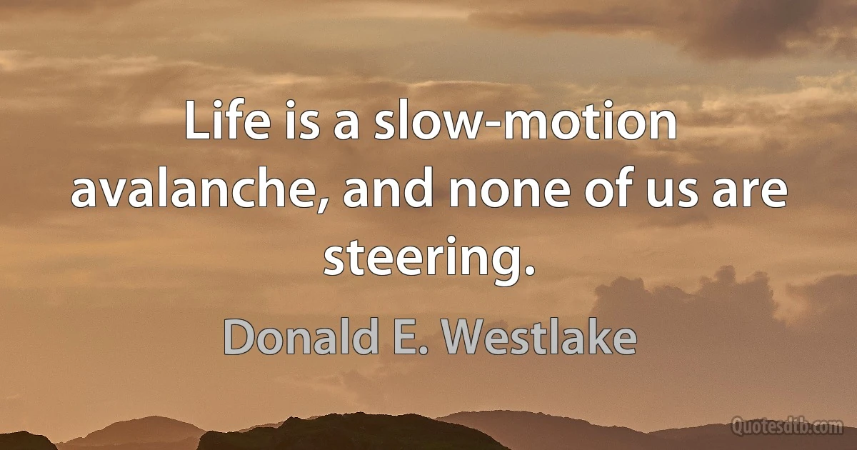 Life is a slow-motion avalanche, and none of us are steering. (Donald E. Westlake)