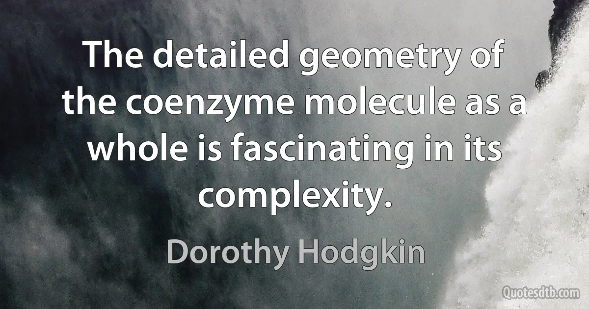 The detailed geometry of the coenzyme molecule as a whole is fascinating in its complexity. (Dorothy Hodgkin)