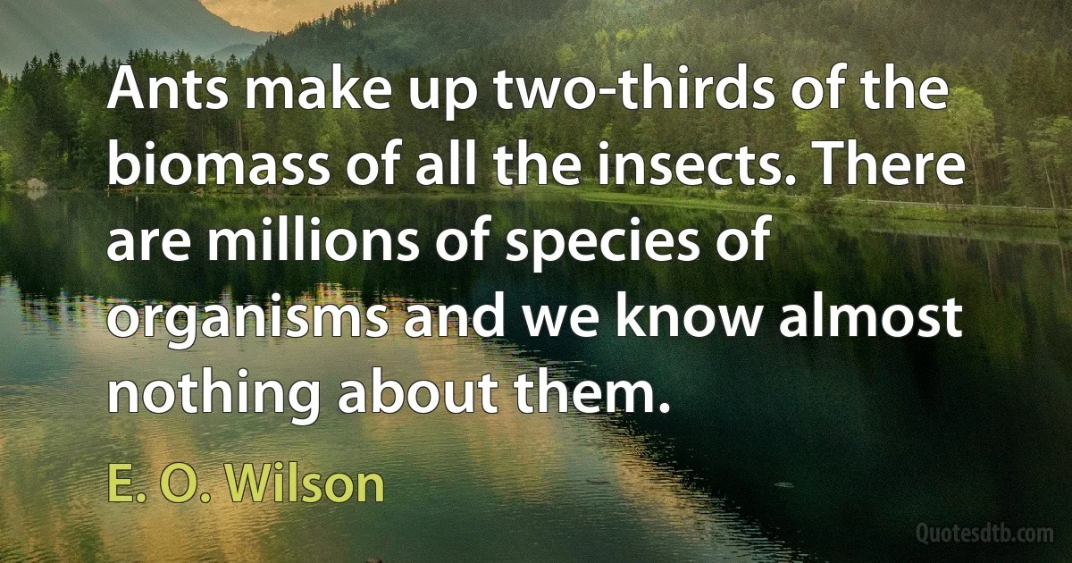 Ants make up two-thirds of the biomass of all the insects. There are millions of species of organisms and we know almost nothing about them. (E. O. Wilson)