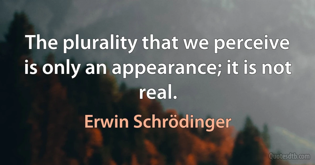 The plurality that we perceive is only an appearance; it is not real. (Erwin Schrödinger)