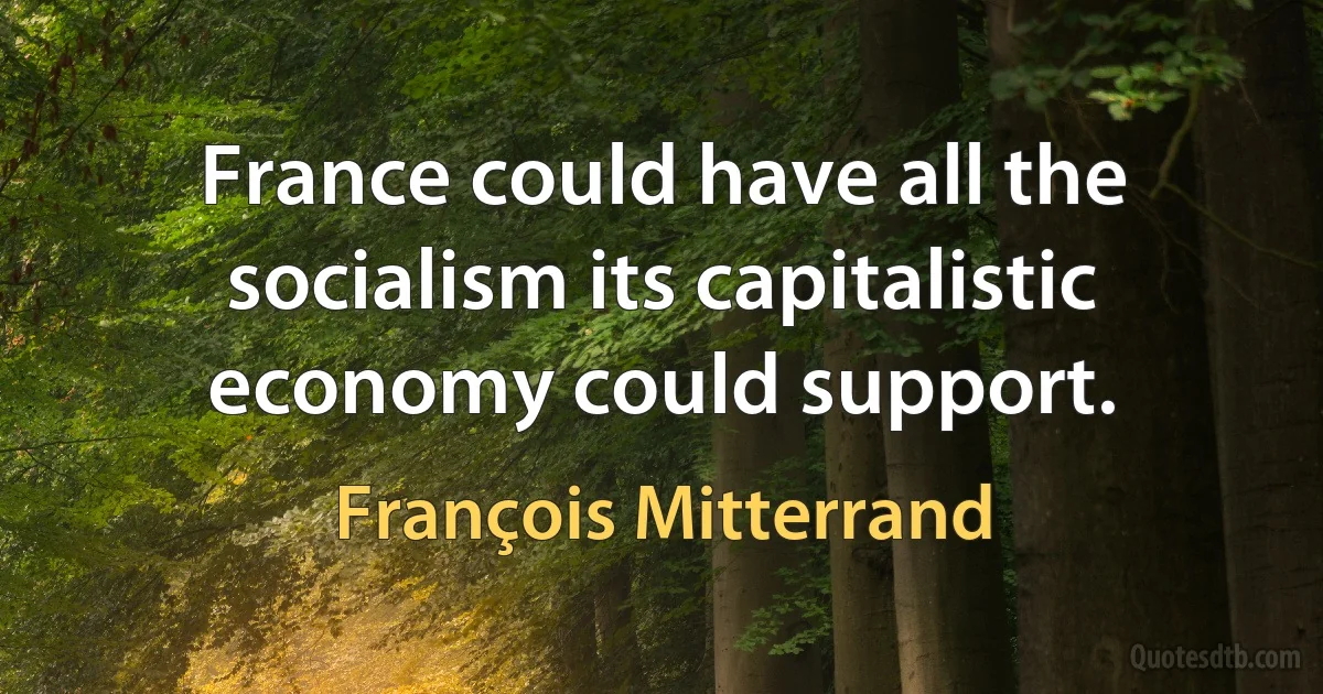 France could have all the socialism its capitalistic economy could support. (François Mitterrand)