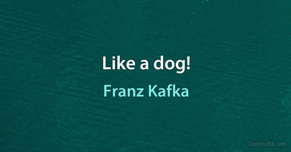 Like a dog! (Franz Kafka)