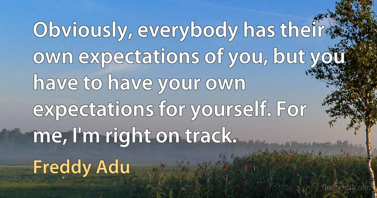 Obviously, everybody has their own expectations of you, but you have to have your own expectations for yourself. For me, I'm right on track. (Freddy Adu)