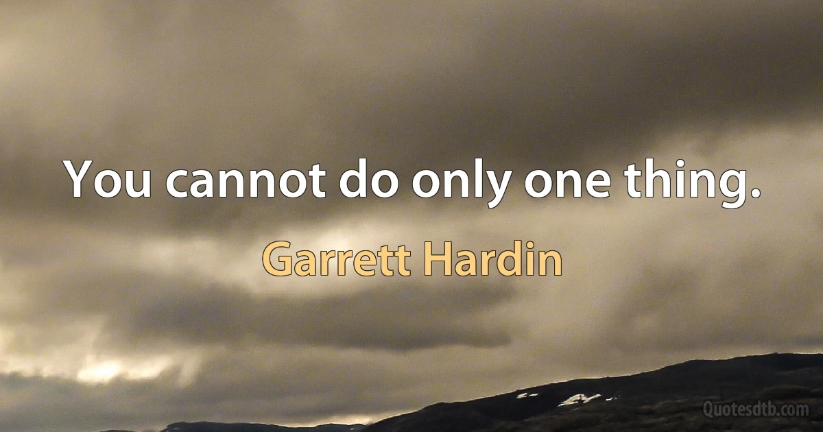 You cannot do only one thing. (Garrett Hardin)