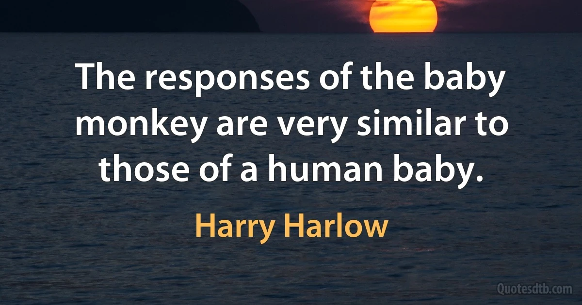 The responses of the baby monkey are very similar to those of a human baby. (Harry Harlow)