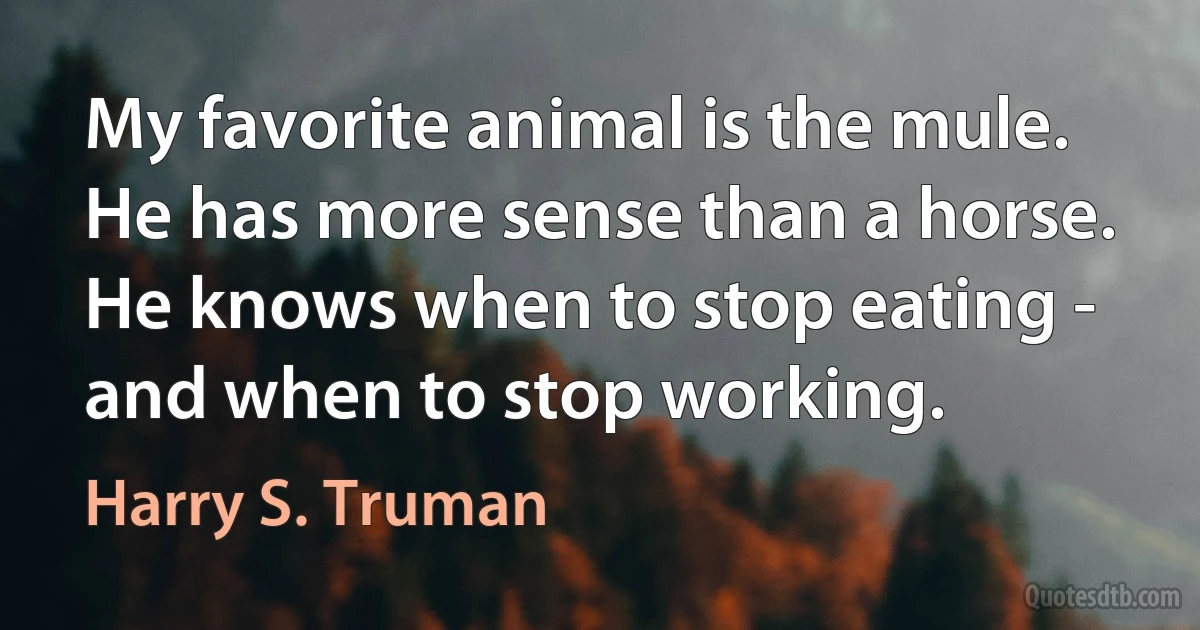 My favorite animal is the mule. He has more sense than a horse. He knows when to stop eating - and when to stop working. (Harry S. Truman)