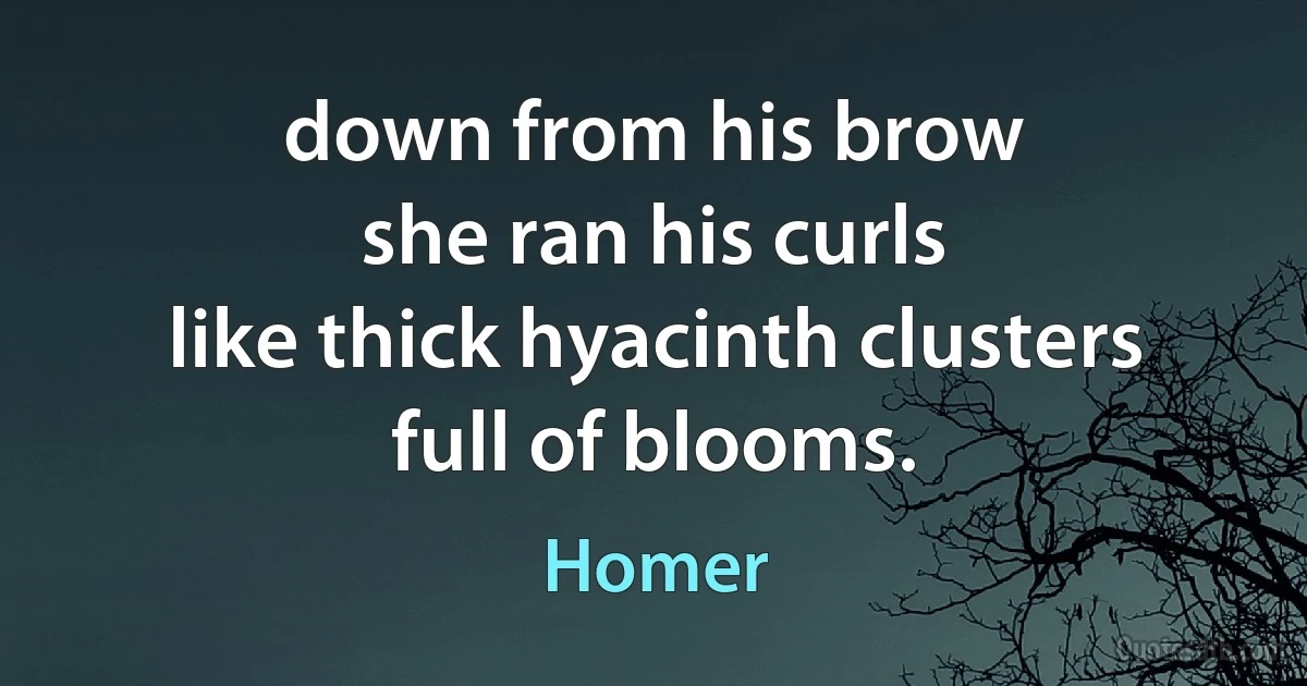 down from his brow
she ran his curls
like thick hyacinth clusters
full of blooms. (Homer)