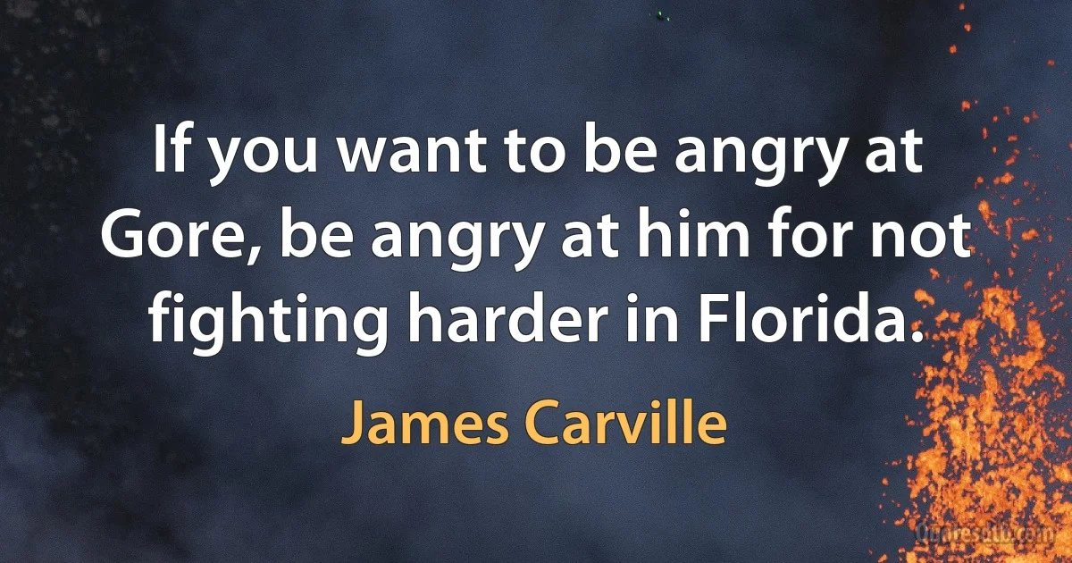 If you want to be angry at Gore, be angry at him for not fighting harder in Florida. (James Carville)