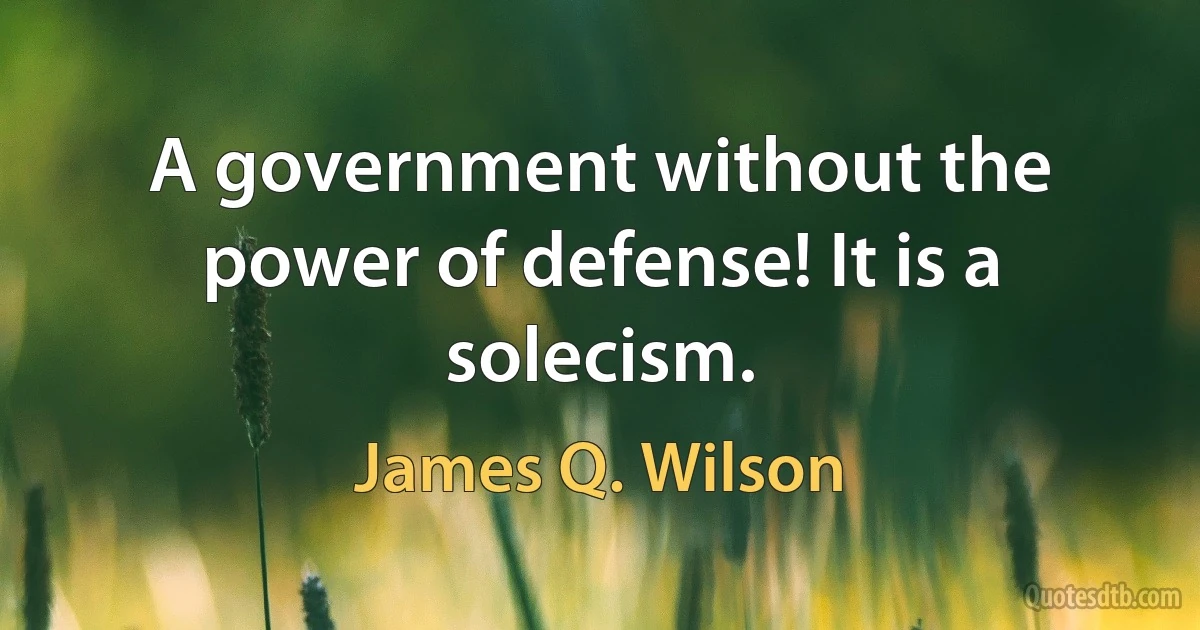 A government without the power of defense! It is a solecism. (James Q. Wilson)