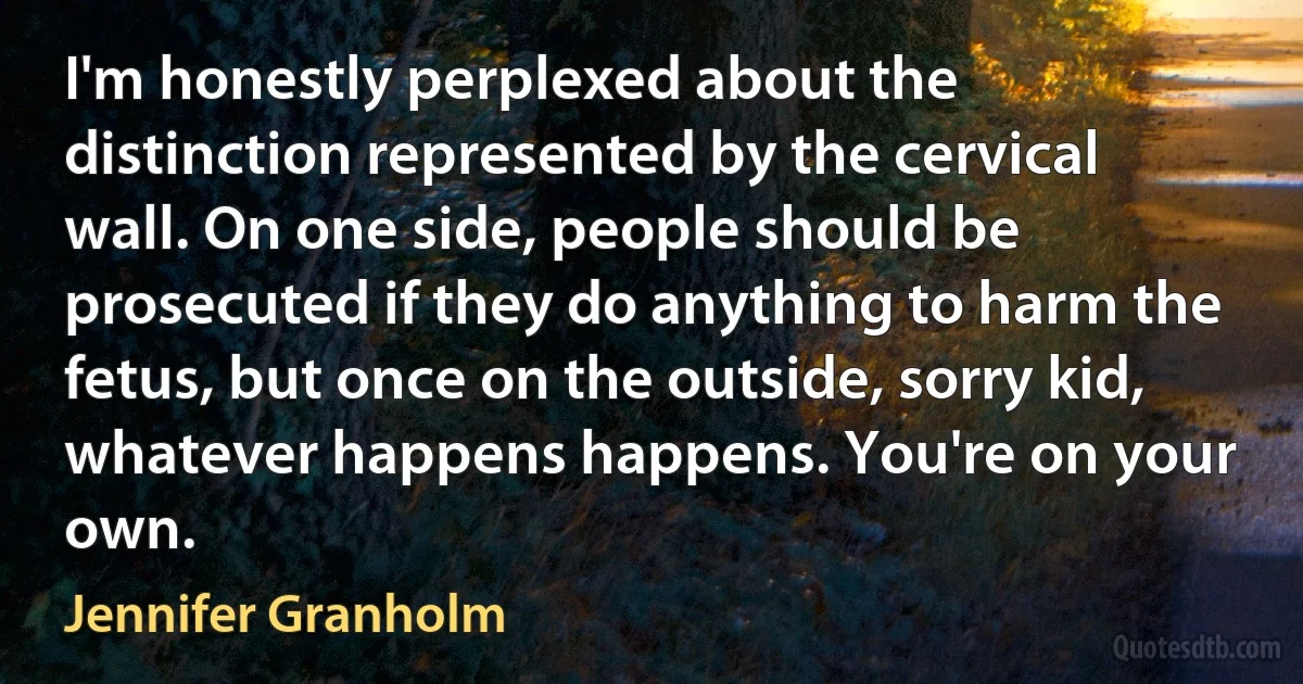 I'm honestly perplexed about the distinction represented by the cervical wall. On one side, people should be prosecuted if they do anything to harm the fetus, but once on the outside, sorry kid, whatever happens happens. You're on your own. (Jennifer Granholm)