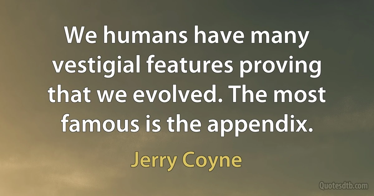 We humans have many vestigial features proving that we evolved. The most famous is the appendix. (Jerry Coyne)