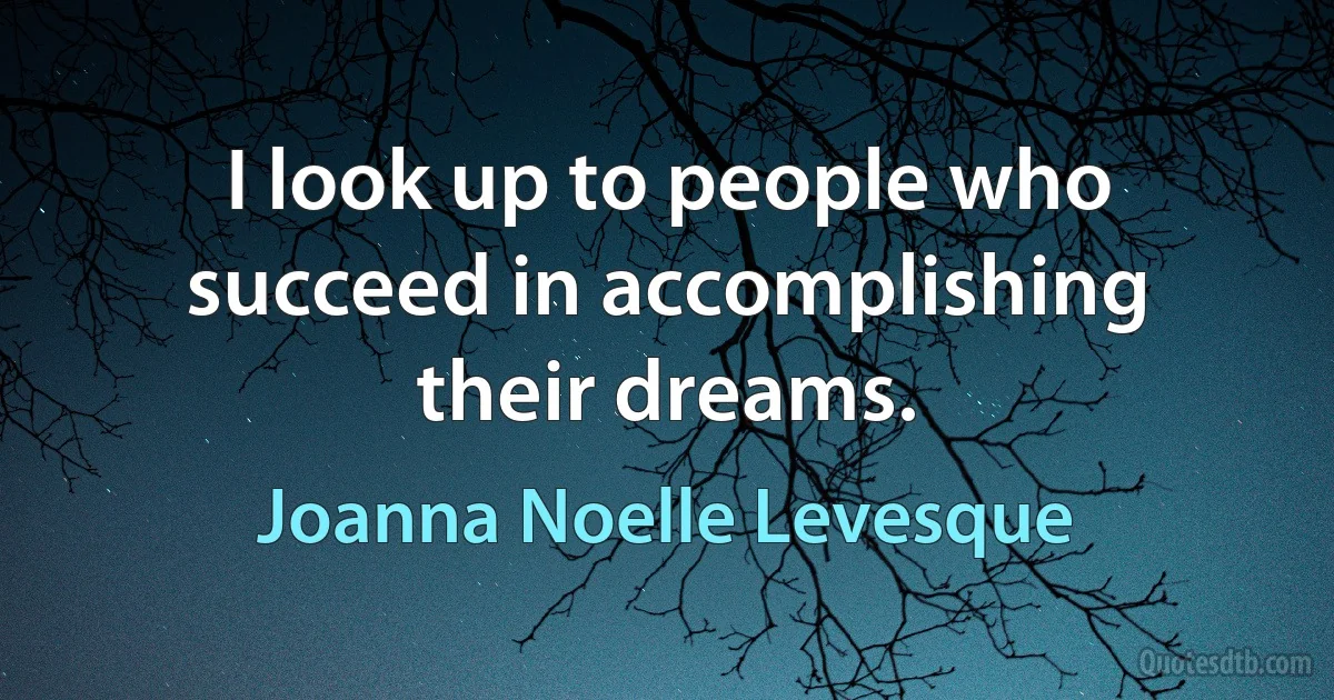 I look up to people who succeed in accomplishing their dreams. (Joanna Noelle Levesque)