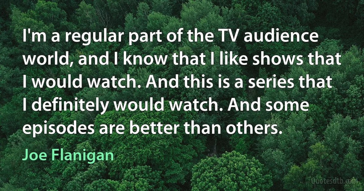 I'm a regular part of the TV audience world, and I know that I like shows that I would watch. And this is a series that I definitely would watch. And some episodes are better than others. (Joe Flanigan)