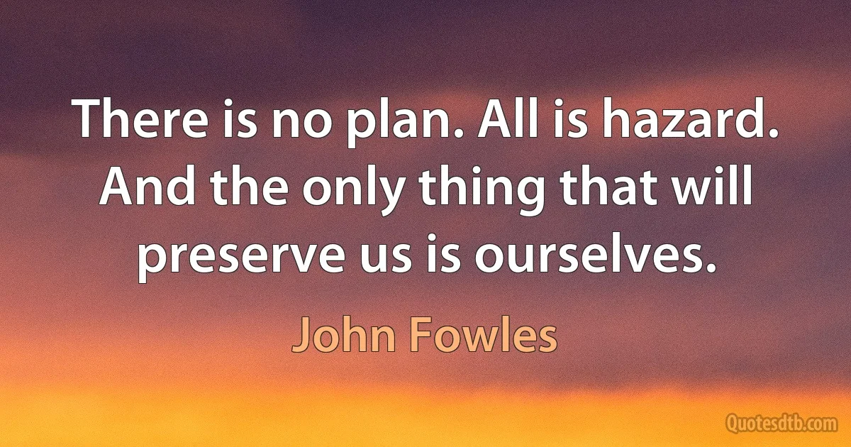 There is no plan. All is hazard. And the only thing that will preserve us is ourselves. (John Fowles)