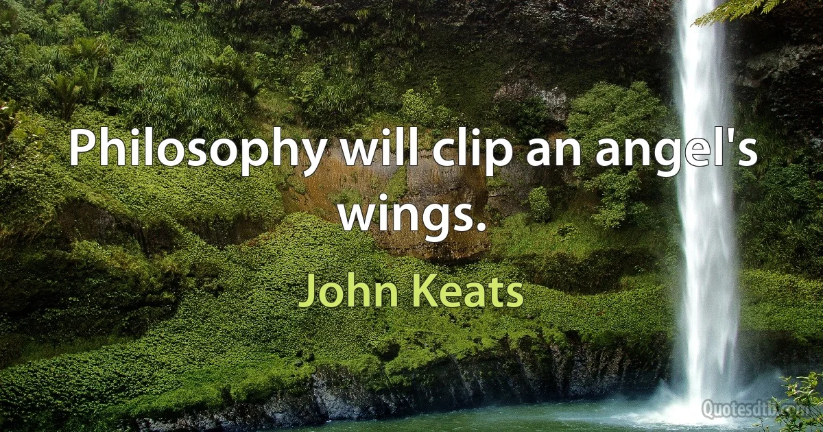 Philosophy will clip an angel's wings. (John Keats)