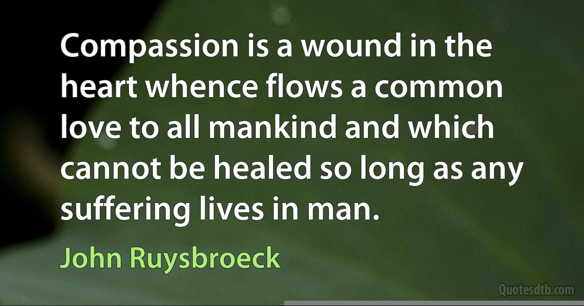 Compassion is a wound in the heart whence flows a common love to all mankind and which cannot be healed so long as any suffering lives in man. (John Ruysbroeck)