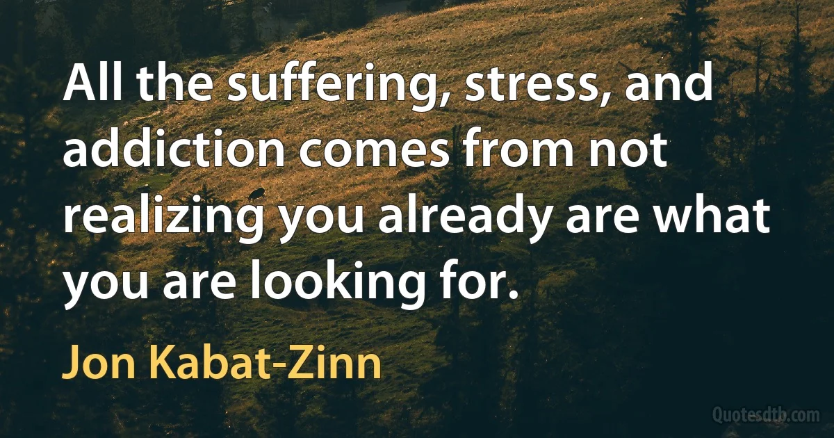 All the suffering, stress, and addiction comes from not realizing you already are what you are looking for. (Jon Kabat-Zinn)