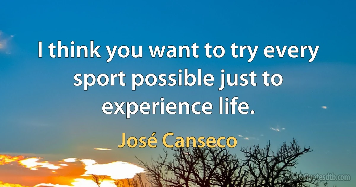 I think you want to try every sport possible just to experience life. (José Canseco)