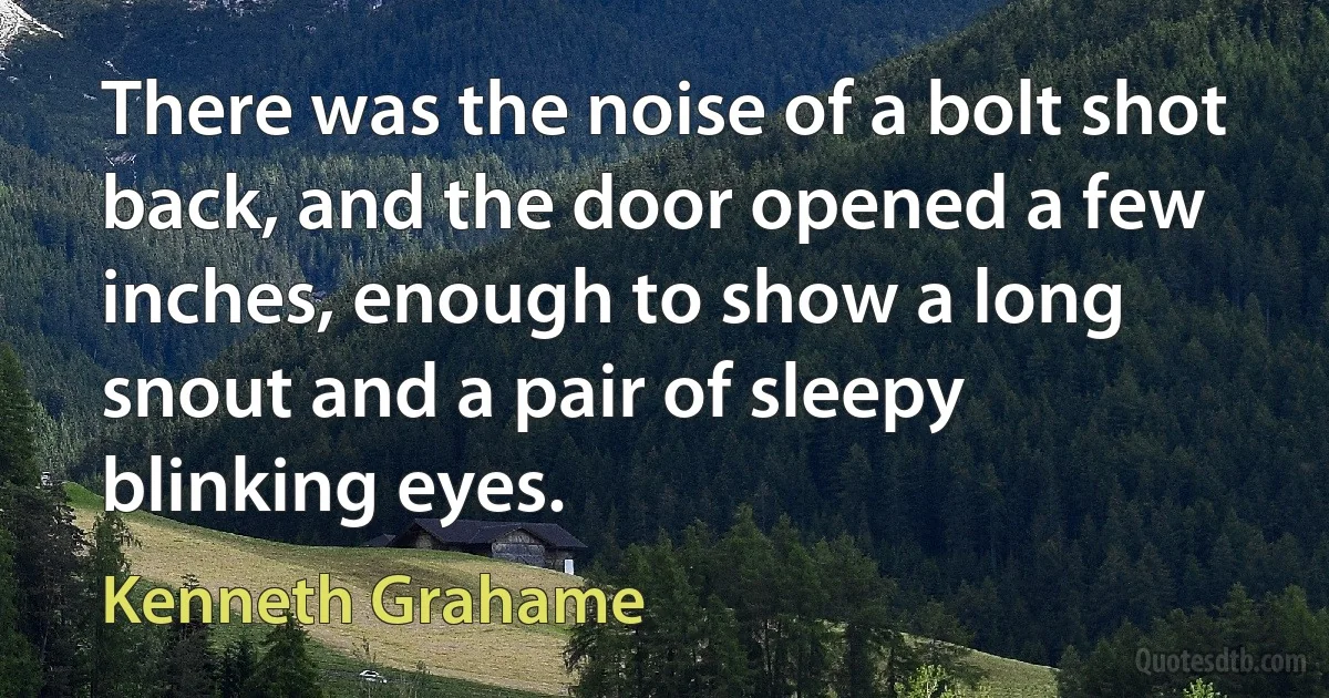 There was the noise of a bolt shot back, and the door opened a few inches, enough to show a long snout and a pair of sleepy blinking eyes. (Kenneth Grahame)