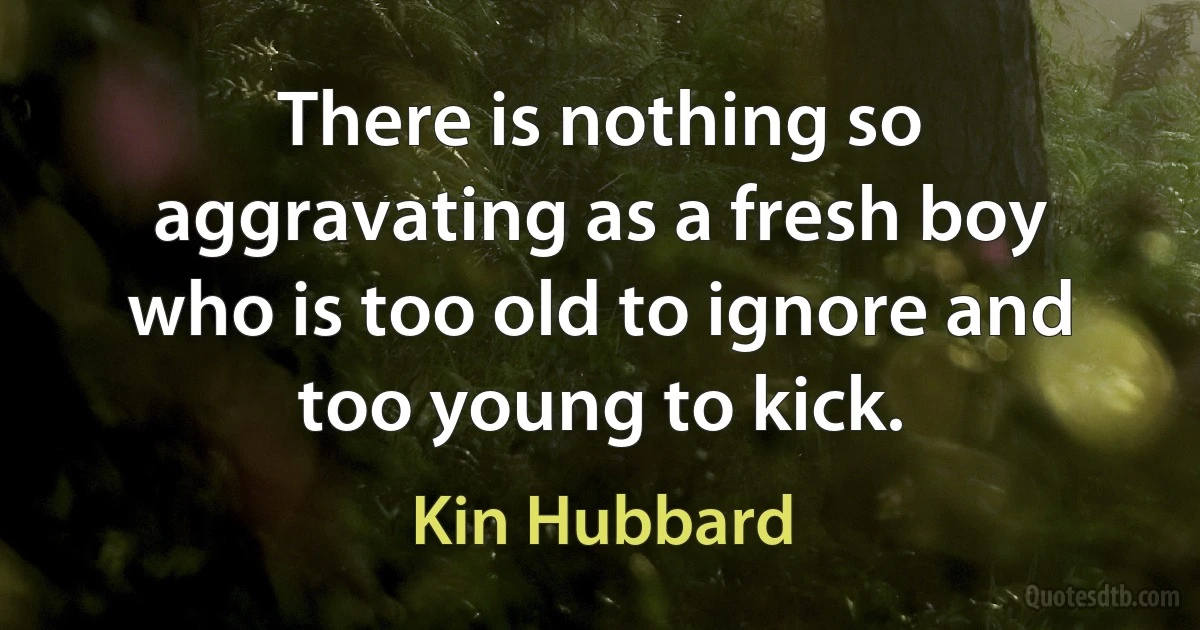 There is nothing so aggravating as a fresh boy who is too old to ignore and too young to kick. (Kin Hubbard)